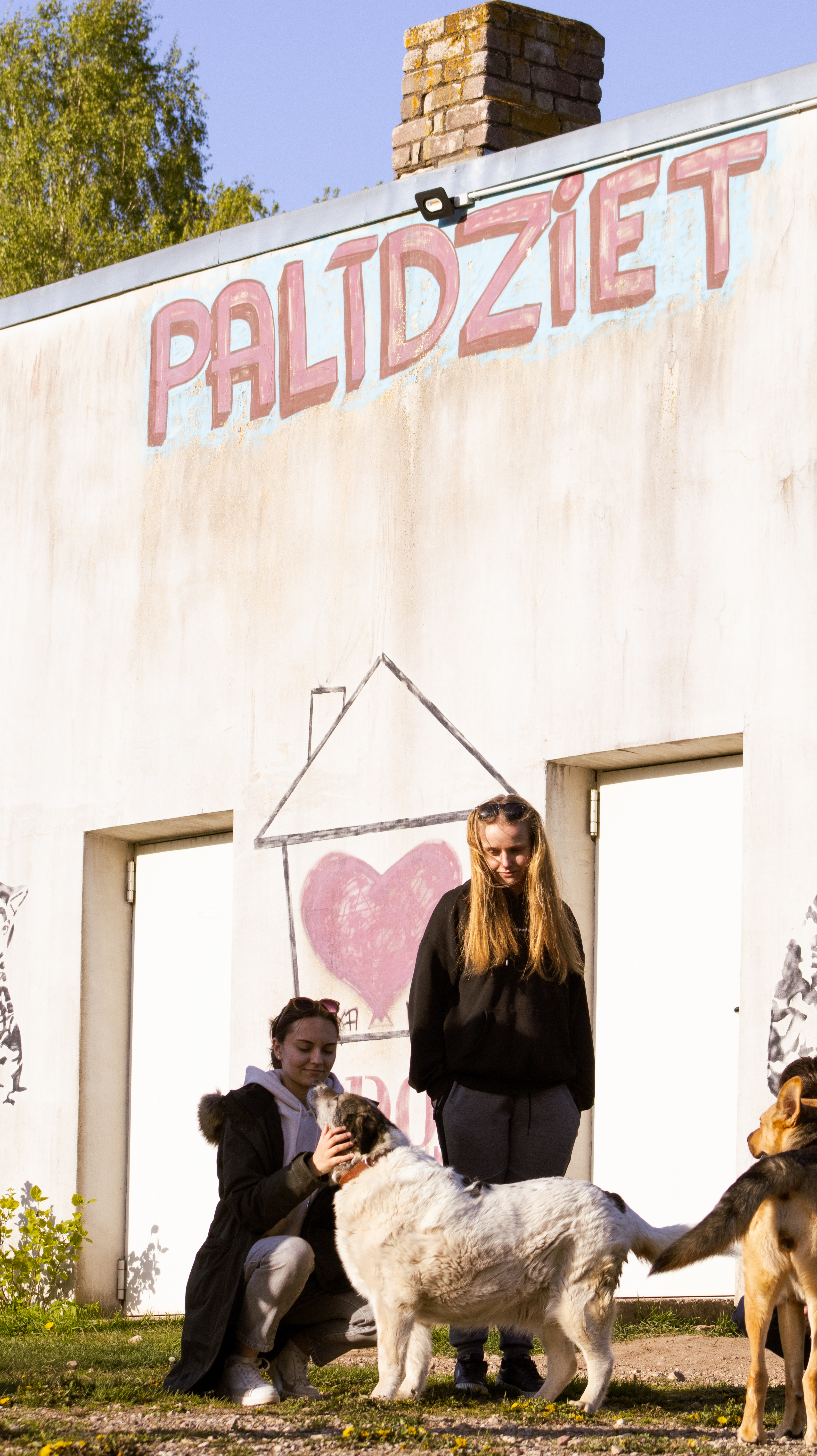 Galerijas attēls